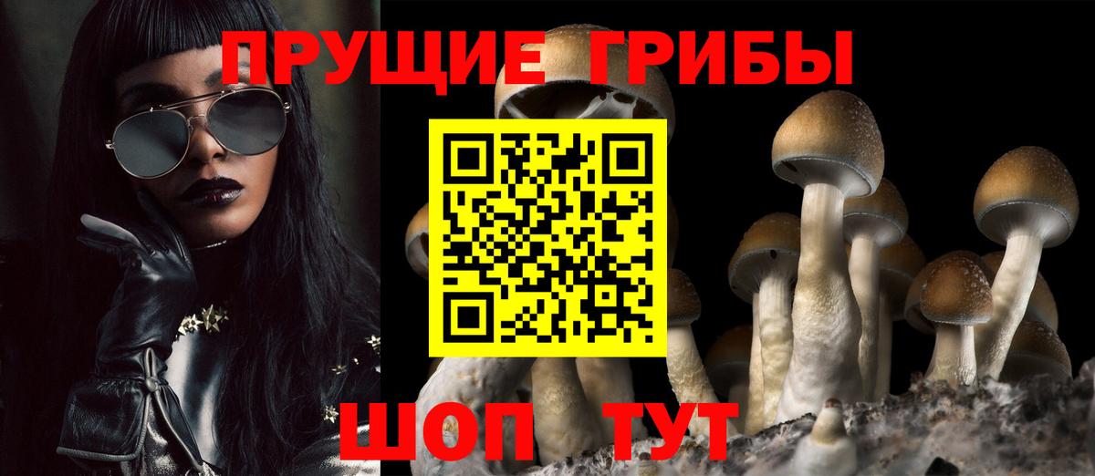 Пугачёв  Галлюциногенные грибы мухоморы  Вход с VPN  Галлюциногенные грибы мухоморы 